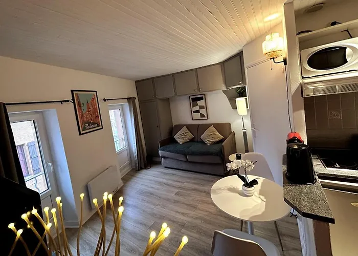 Apartamento Saint-pierre Cocon Toulousain *